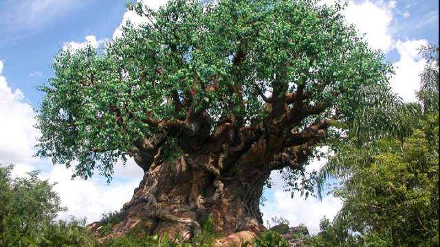 Albero-monumentale.jpg
