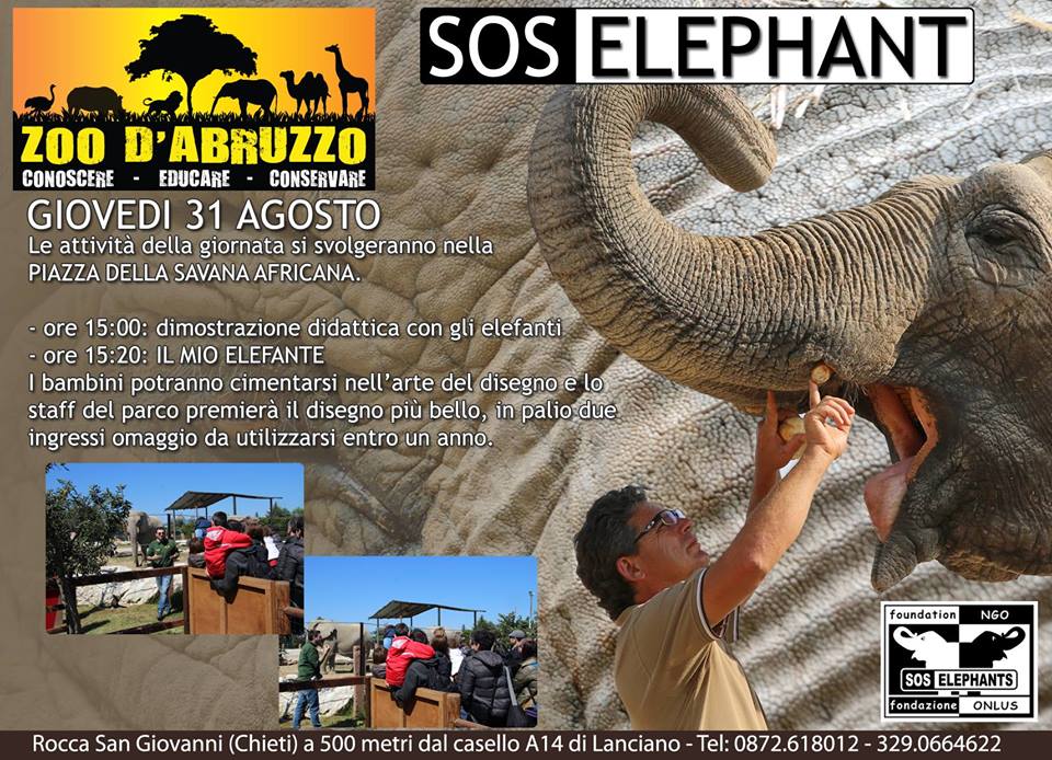 sos-elefanti.jpg