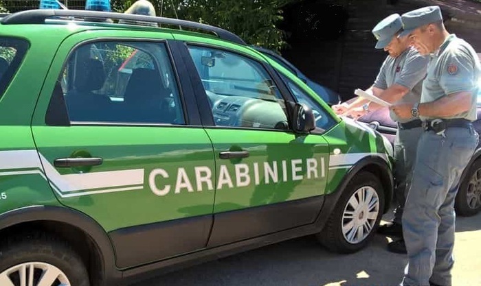 Carabinieri-Forestali.jpg