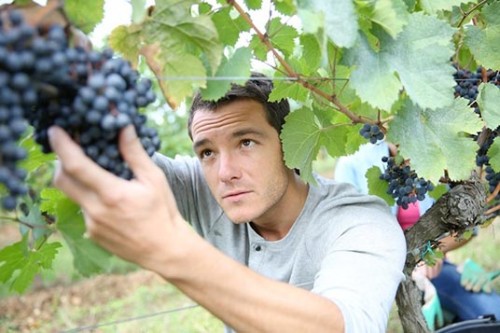 giovani-agri.jpg