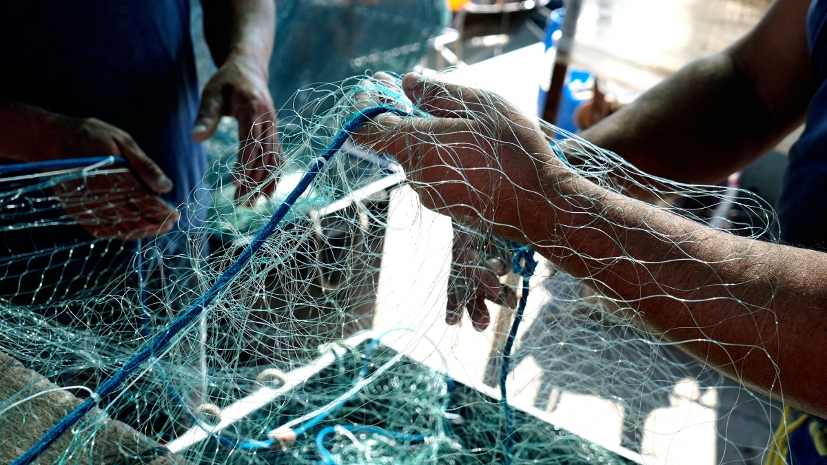 pesca-attrezza.jpg